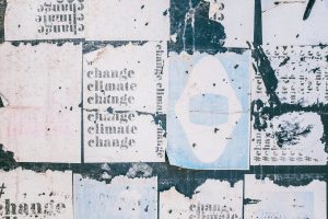 new and exciting in organizing
