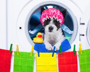 Laundry Room Storage Ideas